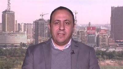 مينا رفيق: اهتمام خليجي متزايد بالاستثمار المباشر في الشركات المصرية