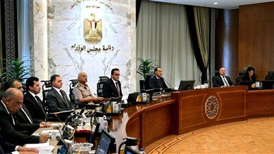 مجلس الوزراء يقر تعديلات جديدة لقانون حقوق الأشخاص ذوي الإعاقة ويشدد العقوبات على المخالفين