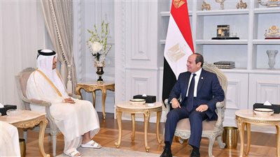 توافق مصري قطري على إيجاد حلول سياسية وسلميّة للأزمات التي تشهدها بعض دول المنطقة