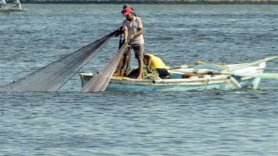 بين البيئة والاقتصاد.. زريعة الجمبري أمل جديد لصيادي بحيرة قارون