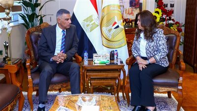 وزيرة التنمية المحلية تبحث مع محافظ أسوان تنفيذ مشروعات 