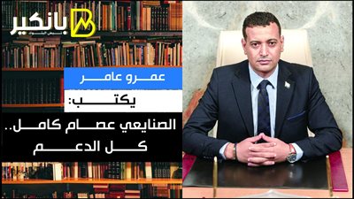 عمرو عامر يكتب: الصنايعي عصام كامل.. كل الدعم
