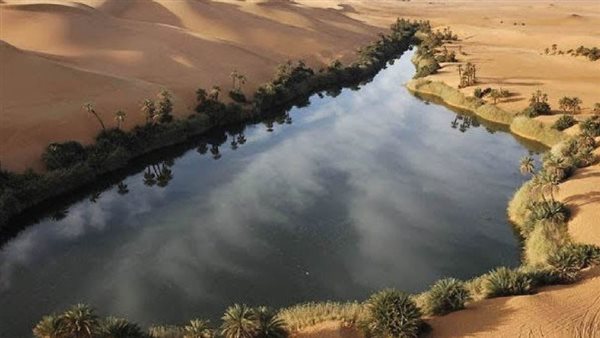 مشروع منخفض القطارة