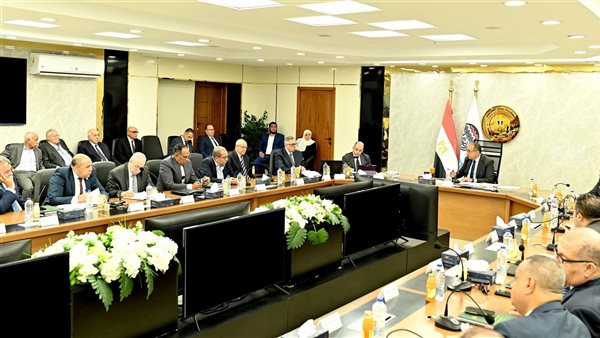 وزير قطاع الأعمال