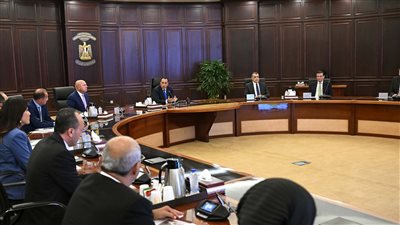 رئيس الوزراء يتابع جهود توفير المنتجات البترولية لقطاعي الصناعة والزراعة