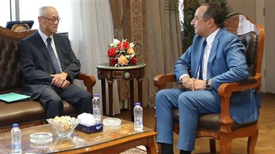 شيمي: مصر بوابة للأسواق الإقليمية.. والشركات اليابانية تتوسع في استثماراتها