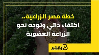 خطة مصر الزراعية.. اكتفاء ذاتي وتوجه نحو الزراعة العضوية | إنفوجراف