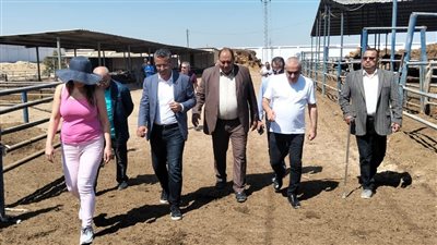 زيارة لبنانية رفيعة المستوى لمصر لتعزيز التعاون الزراعي في الإنتاج الحيواني والاستزراع السمكي