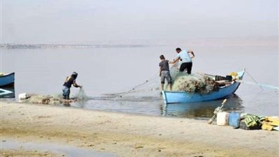 بحيرة قارون تستعيد عافيتها بإطلاق الدفعة الخامسة من يرقات الجمبري لتعزيز الإنتاج السمكي