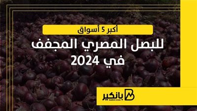 أكبر 5 أسواق البصل المصري المجفف في 2024 | إنفوجراف 