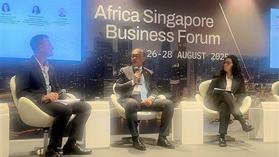 30 شركة سنغافورية كبرى تبحث فرص الاستثمار في مصر