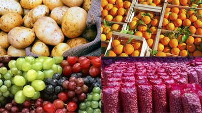 مصر هتأكل العالم.. هنحقق 140 مليار دولار من الصادرات الزراعية 