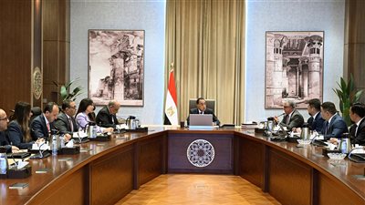 مدبولي:100 مليون دولار استثمارات صينية لإنشاء مصنع مكونات الطاقة الشمسية