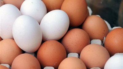 مبادرة حكومية لطرح بيض المائدة بأسعار تنافسية عبر المنافذ المتنقلة