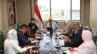 وزير الكهرباء يبحث مع شركة 