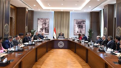 مدبولي: لدينا خطة لزيادة حجم أسطول الطيران بنحو 30% خلال الفترة المقبلة 