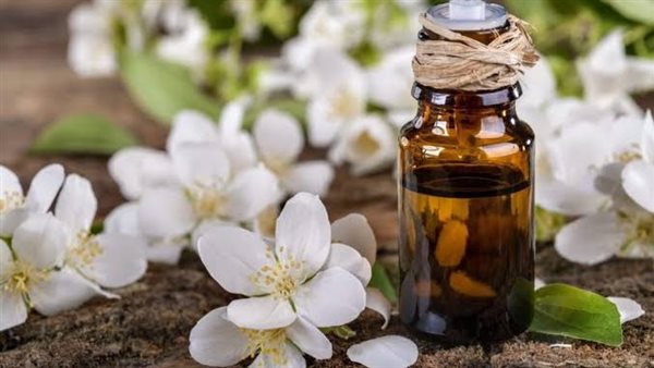 كيف تسيطر مصر على