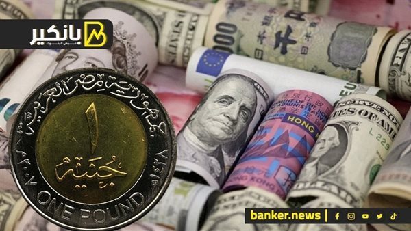 مستقبل الجنيه في