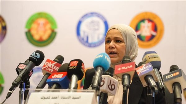 رئيس مصلحة الضرائب