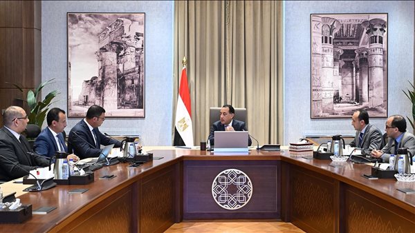 مدبولي يستعرض الاستراتيجية