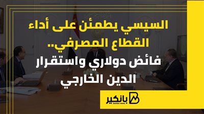 السيسي يطمئن على أداء القطاع المصرفي.. فائض دولاري واستقرار الدين الخارجي |إنفوجراف 