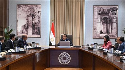 رئيس الوزراء: شركة 