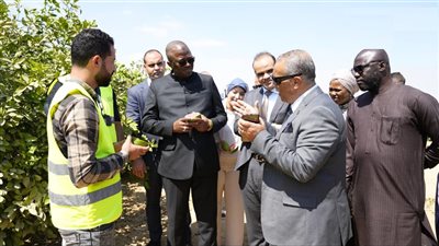 الوفد الجامبي: التجربة المصرية في استصلاح الأراضي نموذج رائد للقارة الإفريقية