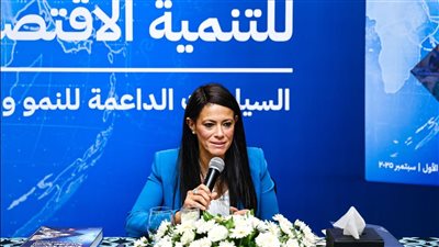 المشاط:  حشد 16 مليار دولار للقطاع الخاص منذ 2020 عبر شراكات دولية