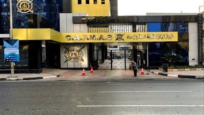 انخفاض أعداد العاملين الأجانب في القطاع الحكومي والعام بمصر بنسبة 23.1% خلال 2024