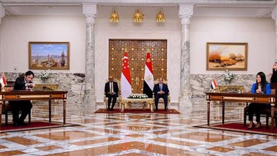 المشاط: مصر مركز إقليمي للاستثمارات وجاذبة للشركات السنغافورية في الصناعات والتكنولوجيا