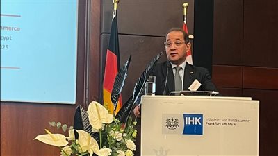 وزير المالية: جذب استثمارات أجنبية مباشرة بقيمة 9.8 مليار دولار بمعدل نمو 13% خلال 9 أشهر