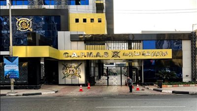 الإحصاء: 5369 منشأة رياضية في مصر عام 2023.. قفزة في أعداد اللاعبين والفرق