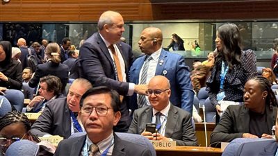 فوز مصر في انتخابات مجلس «الإيكاو» عن الفئة الثانية