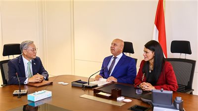 كامل الوزير يدعو المستثمرين الكوريين للتوسع في صناعة السيارات ومكوناتها في مصر