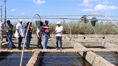 جهاز حماية البحيرات يختتم تدريب الوفد الغاني بمزرعة الزاوية لتعزيز الأمن الغذائي الأفريقي