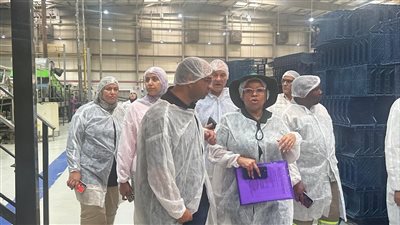 الزراعة المصرية تستعرض جاهزية صادرات الرمان أمام وفد جنوب أفريقي استعدادًا لفتح سوق جديد