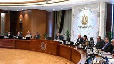 رئيس الوزراء: استثمارات إماراتية جديدة تؤكد ثقة المستثمرين في مناخ الأعمال بمصر