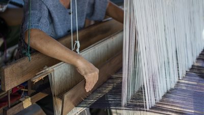 مصر تمضي نحو توطين صناعة الحرير الطبيعي.. مشروع قومي لتقليل الاستيراد وتعزيز الدخل الريفي