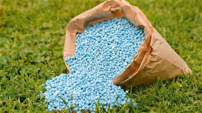 مصر تعلن عصر الذهب الزراعي.. طفرة صناعة الأسمدة ستحقق 10 مليارات دولار في 2025