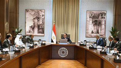 الطاقة المتجددة ركيزة التنمية المستدامة.. مدبولي يلتقي وزارة الكهرباء والشركاء الاستثماريين