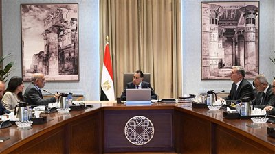 بحضور وزيري الكهرباء والبترول.. رئيس الوزراء يتابع الموقف التنفيذي لمشروعات الطاقات المتجددة