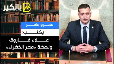 عمرو عامر يكتب: ​علاء فاروق ونهضة «مصر الخضراء»