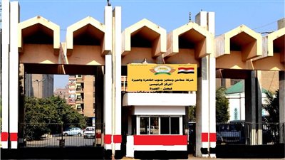 خسائر بالملايين وأراضي للبيع.. قصة سقوط 