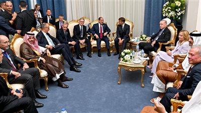 السيسي: نسعى لعقد مؤتمر القاهرة للتعافي المبكر وإعادة إعمار غزة في نوفمبر المقبل 