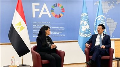 وزيرة التخطيط: الأمن الغذائي أولوية وطنية ومحور رئيسي في رؤية مصر 2030 