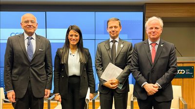 المشاط: تمويلات ميسرة بقيمة أكثر من 4.5 مليار دولار لتنفيذ مشروعات طاقة متجددة بقدرة 5.2 جيجاوات