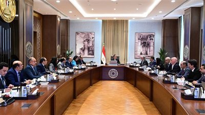 مدبولي يلتقى رئيس مجموعة 