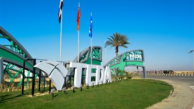 المنطقة الاقتصادية الصينية المصرية 