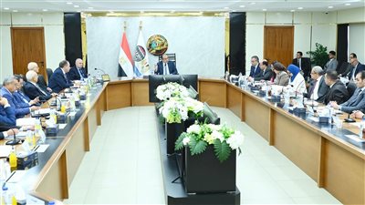 شيمي: إعادة تشغيل المصانع المتوقفة ورفع كفاءة خطوط الإنتاج أولوية لتعظيم العائد الاقتصادي