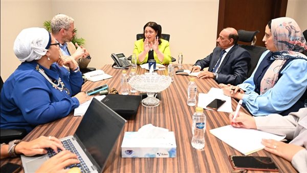 نائبة وزيرة التضامن